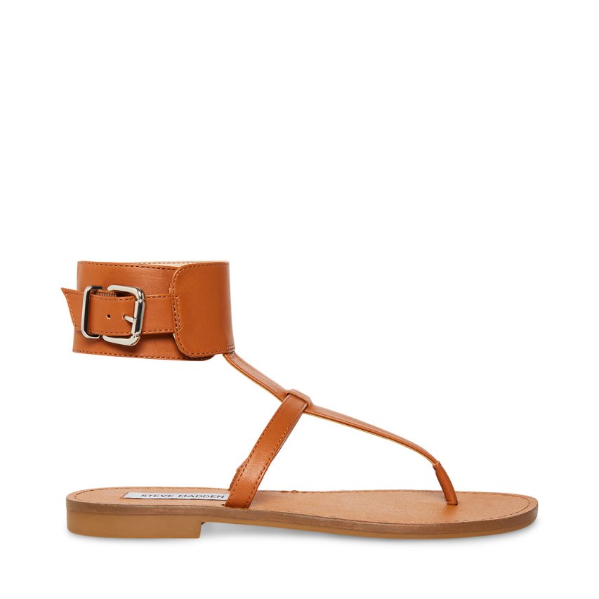 Brown Steve Madden Rico Leather Women\'s Flat Sandals | PH 8670JN16